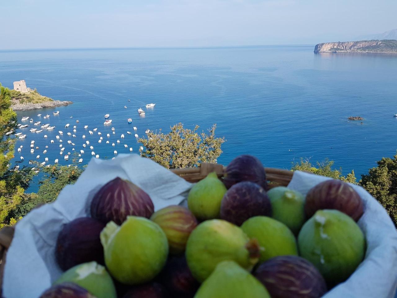 Villa Crawford San Nicola Arcella Eksteriør billede